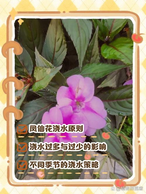 我现在用的笨办法，从来没浇死过花