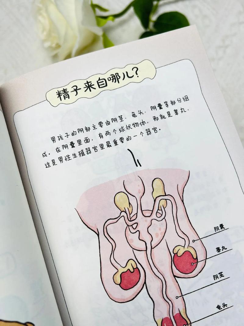 那些说不出口的‘性教育’,被窝包圆了