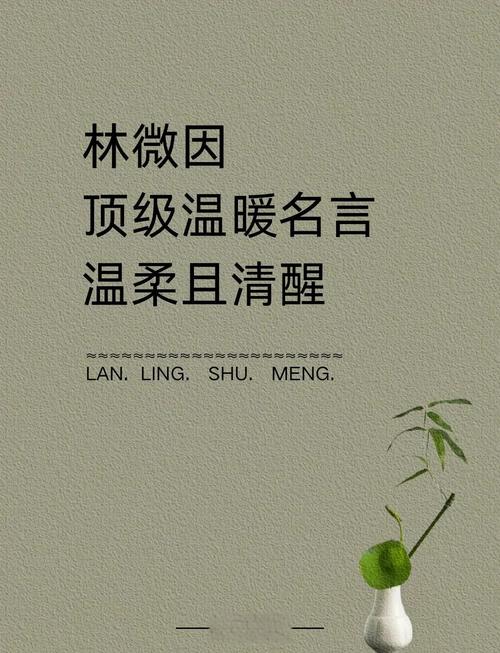 温柔不是把家堆成花房，是留够“乱一点”的余地