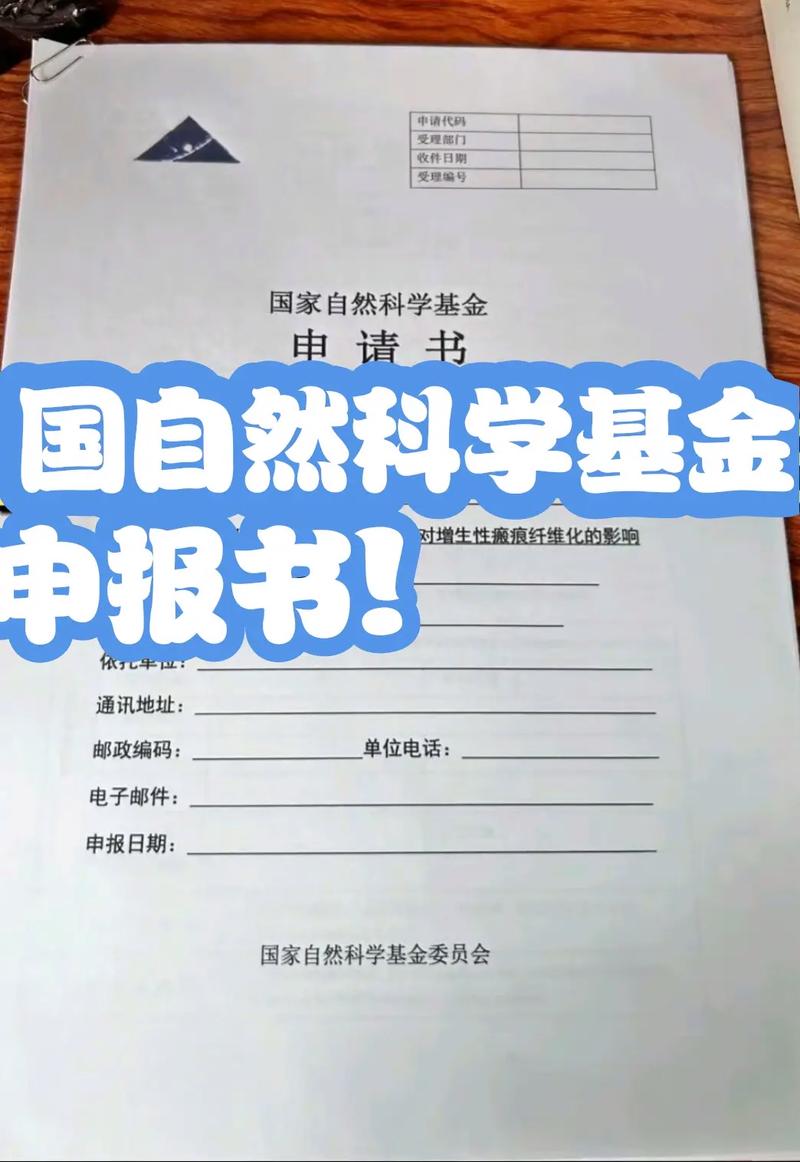 国自然申报书摘要写作范例截图