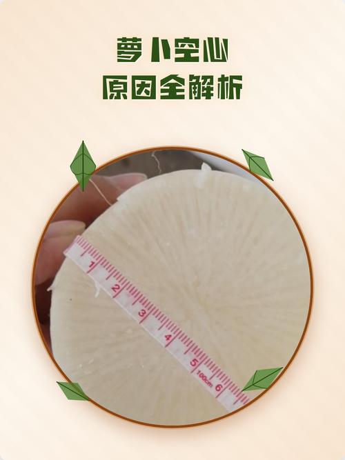 散文需要“内核”,不然就是空心萝卜