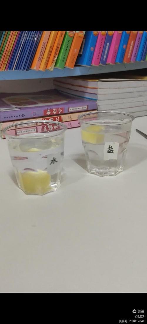 孩子往玻璃杯里加盐观察土豆浮沉
