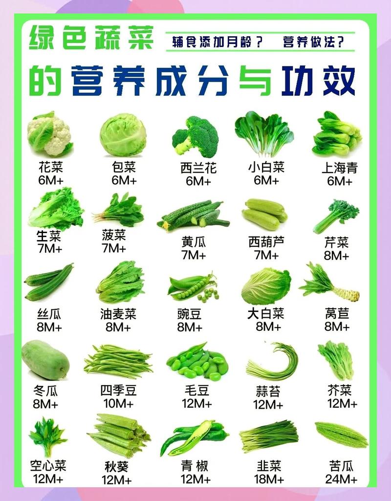 生蔬菜和熟蔬菜营养对比