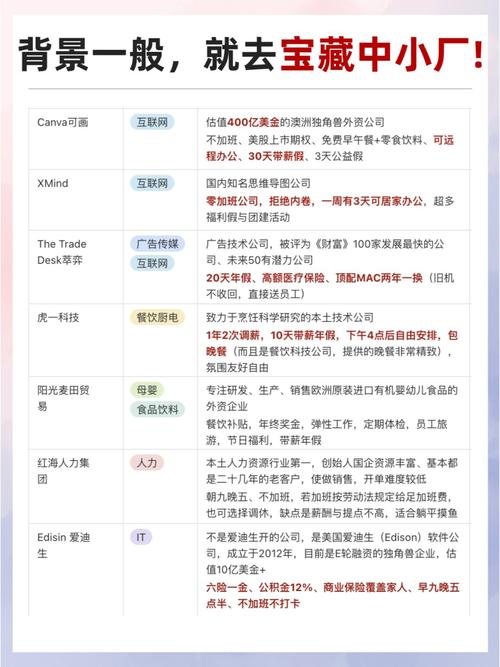 中小厂家也有宝藏