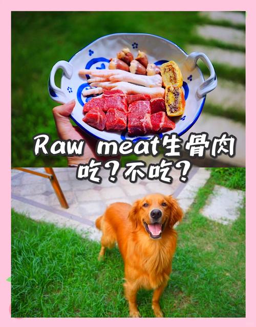 🥩 误区四：生骨肉喂养，回归自然野性