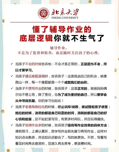 普通家长怎么帮孩子把课后作业用到位？