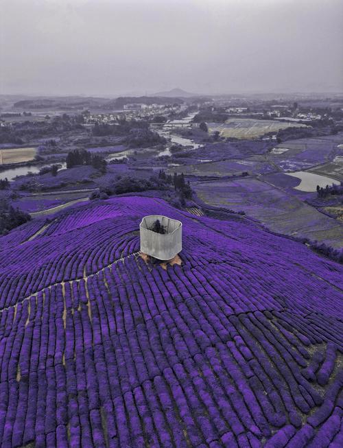 4. 寒溪村：大地之灯，照出你的失望