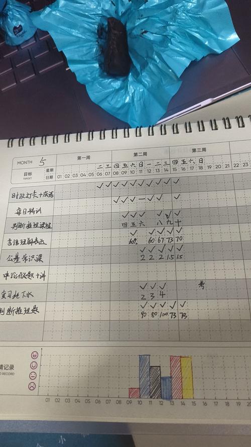 中学生写满分钟级任务的彩色日程本摊开图
