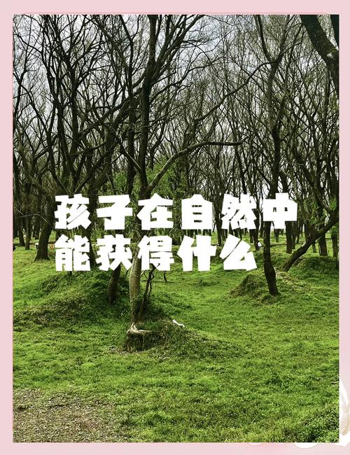 自然教育能给工业家庭带来什么