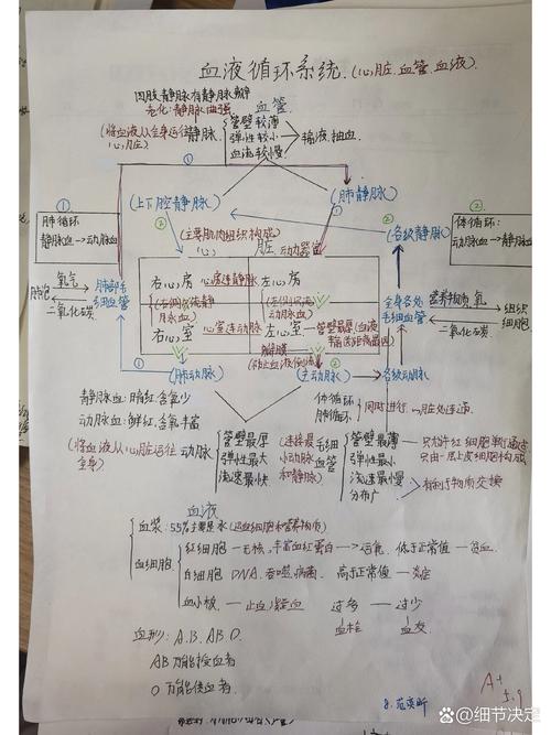 思维定式循环路径图