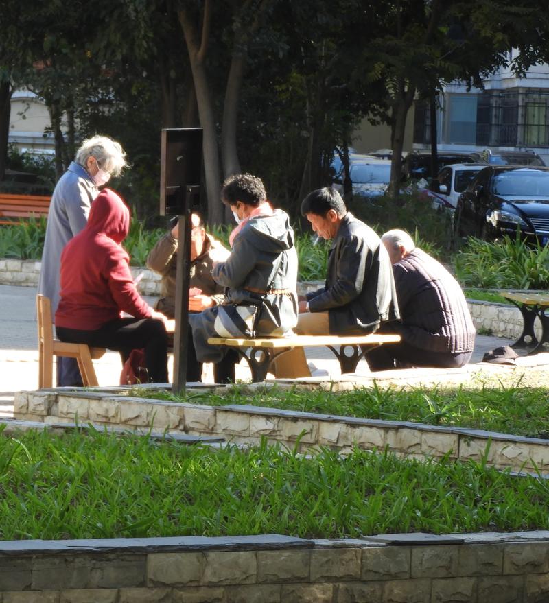社区公园老人结伴晒太阳聊天场景