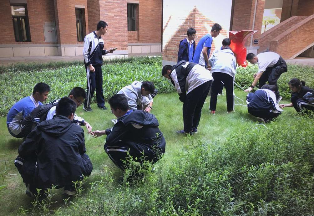 高中生物社团户外实践观测植物场景