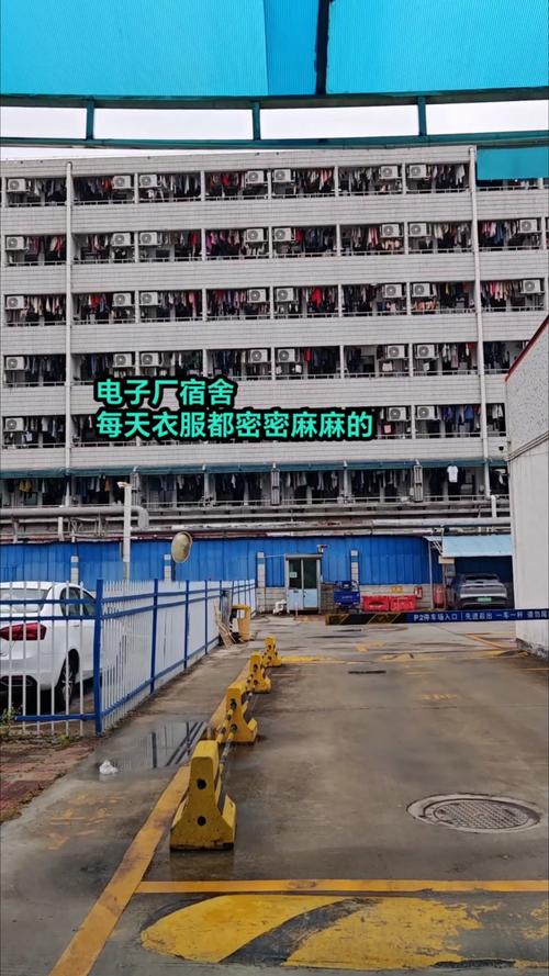 东莞电子厂宿舍楼下写作业的随迁子女