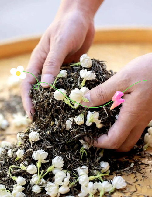 福州茉莉花茶窨制工艺实拍