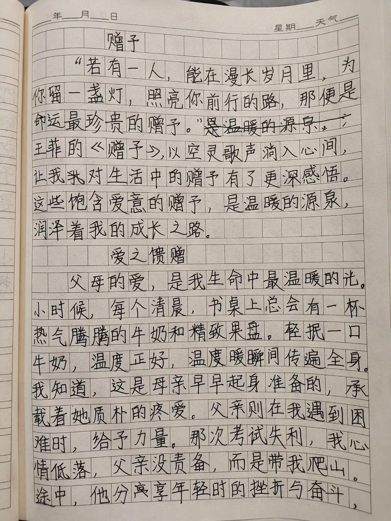 写在最后:手足情深,是时间的赠予,不是逼出来的