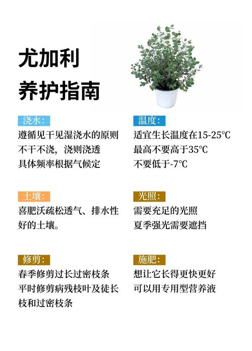 干燥季室内植物叶片喷雾养护步骤图
