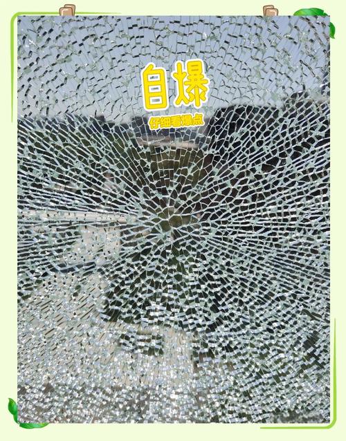 钢化玻璃自爆后蜂窝状裂纹实景