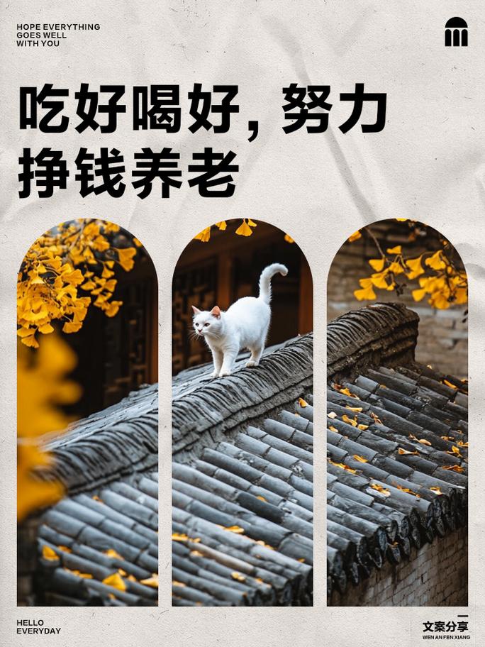 赚了钱要养老戏