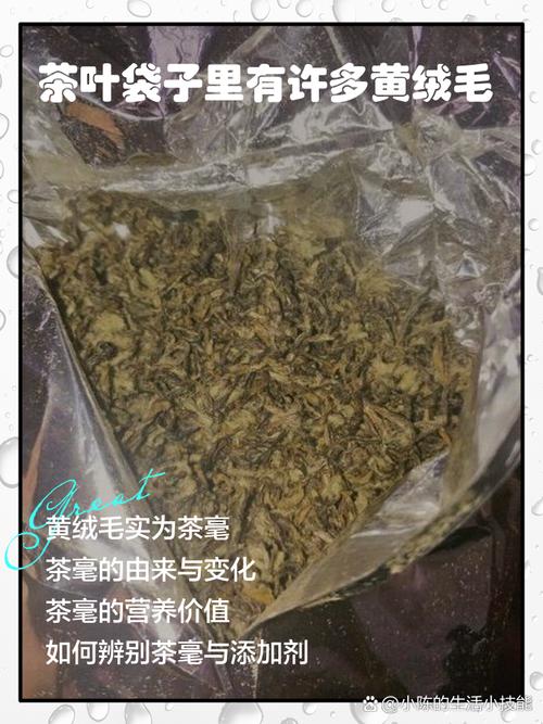 家庭存茶密封罐对比错误开袋存放的茶叶变质