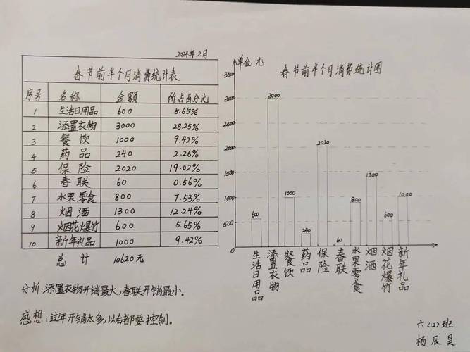 家庭预算盈余曲线图