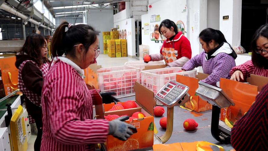 制造车间女技术员给新入职女员工递橘子鼓励的场景