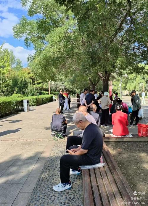 公园慢走晒太阳调适慢性疲劳场景图