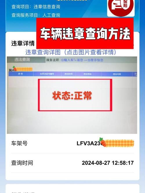 车辆违章记录查询电脑界面截图