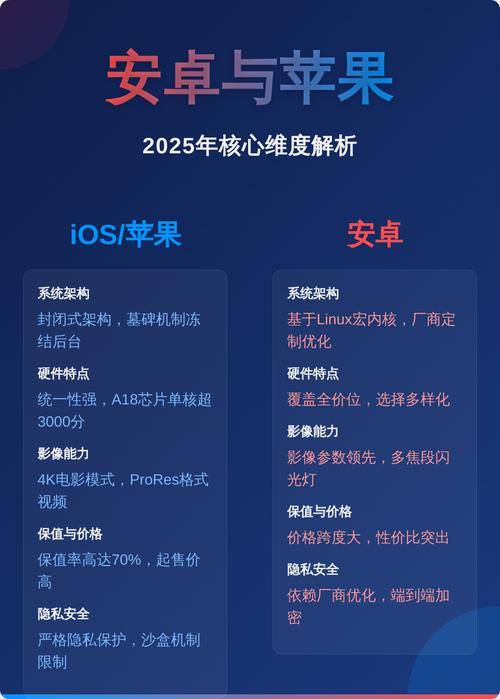 核心维度对比分析