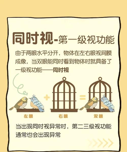 2. 看房时,眼睛该盯哪儿?