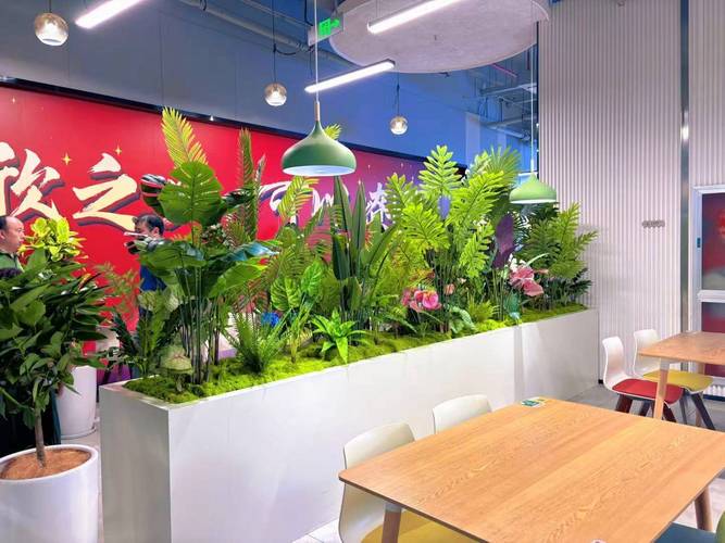 餐厅墙面仿真绿植落灰清理实景