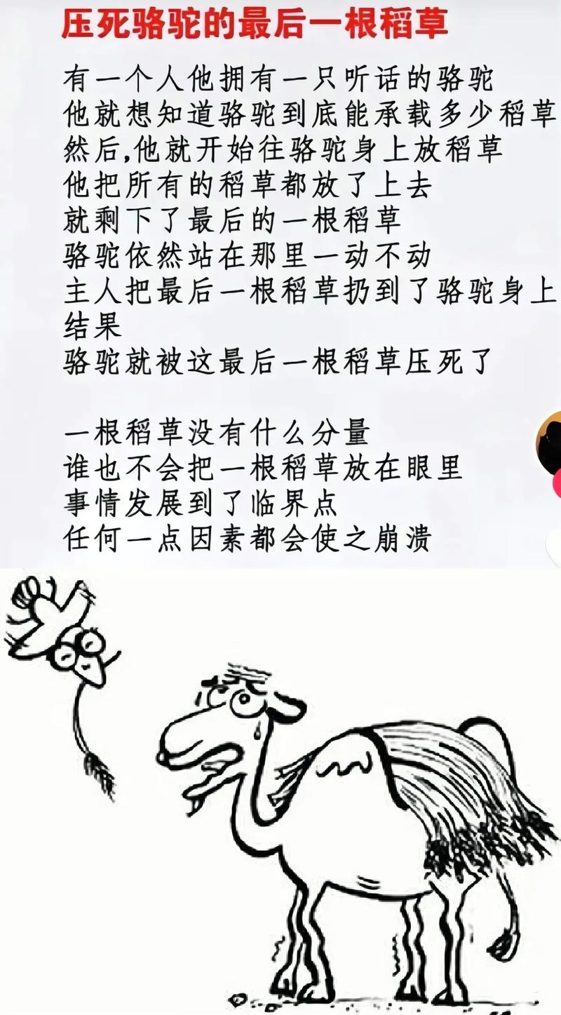 三、最后一公里：压垮骆驼的最后一根稻草