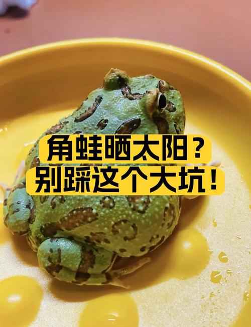 别踩这几个常见的培养大坑