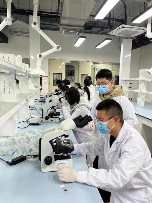 科研助理在高校实验室操作显微镜