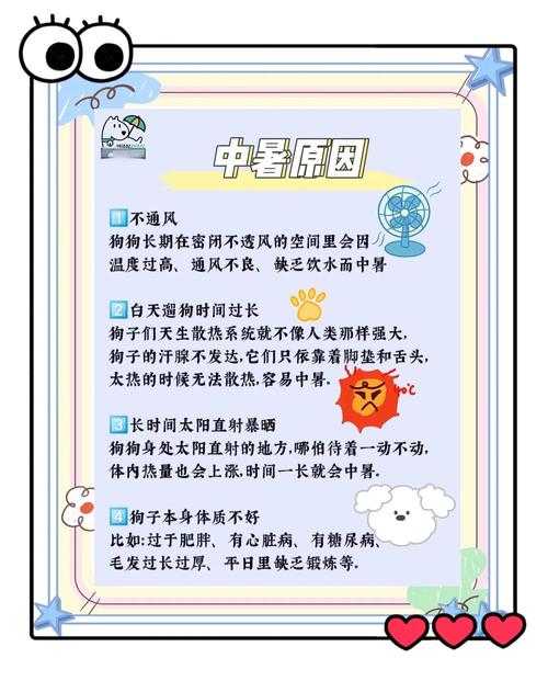 宠物中暑初期症状对比图