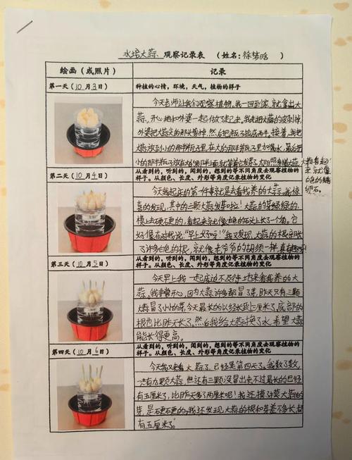 我家的“静待”实验:100天记录