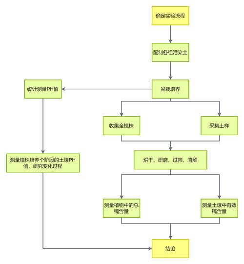 学生主动设计实验流程示意图