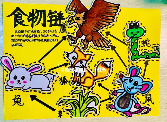儿童手绘家庭关系食物链涂鸦