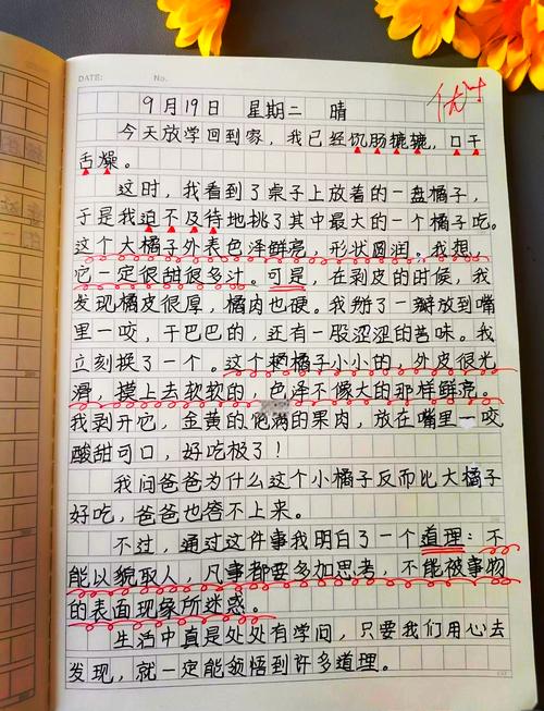 摊开的小学周记本 沾橘子酱的歪歪扭扭铅笔字