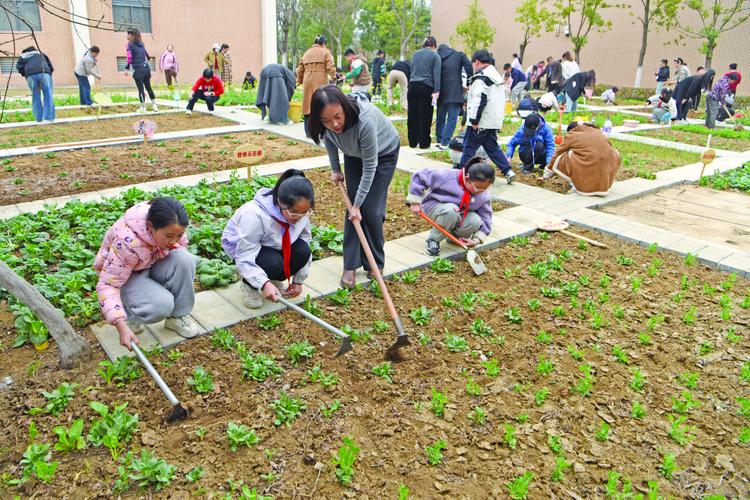 学校劳动实践基地学生摆拍