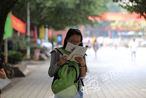 考生考场外树荫下休息备考图