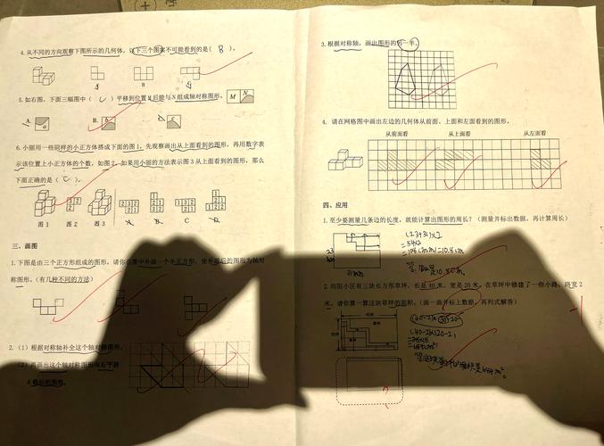 小学考试审题圈画题干示例