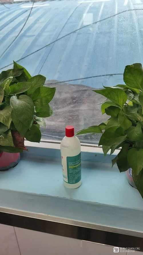 小学教室窗台放半瓶透明液体