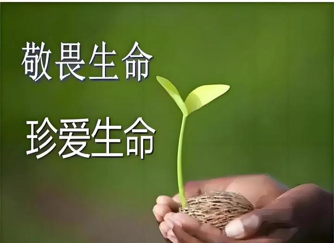 比知识更重要的,是对小生命的敬畏