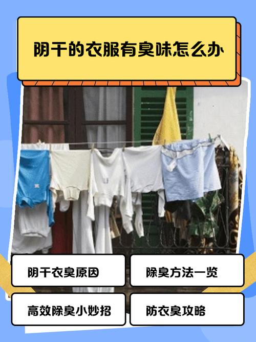 分对区也白搭，晾晒才是除味抑菌的关键