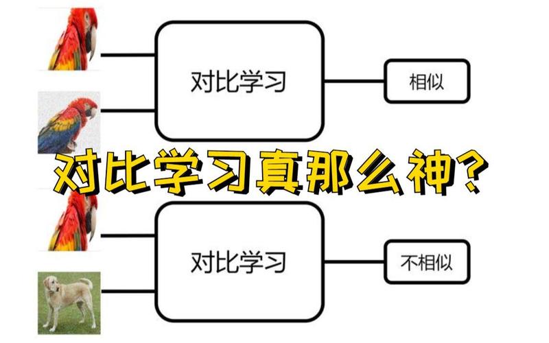学生深夜埋头刷题与思维导图学习对比场景
