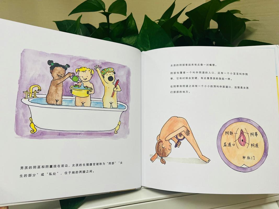儿童性教育启蒙身体认知绘本插图