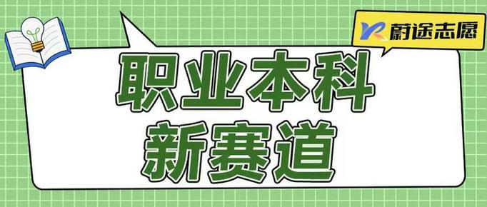 普通本科学生职业赛道入场门槛对比表实拍