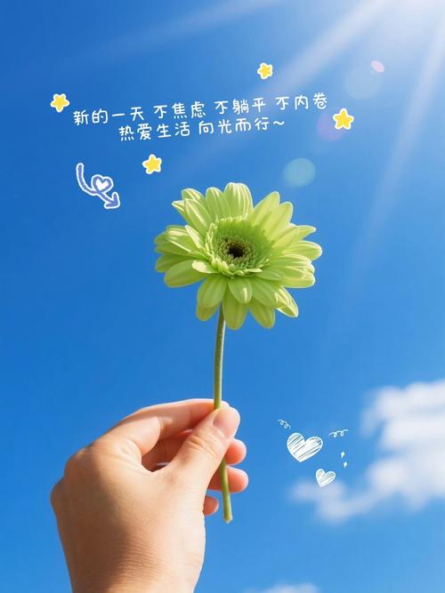 模糊才是活的日子
