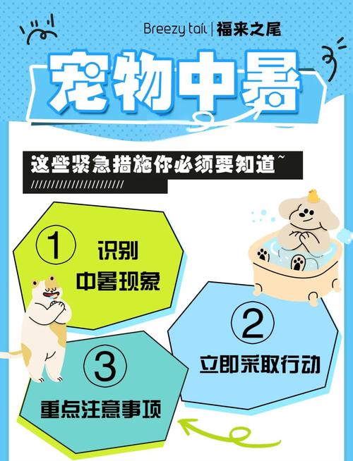 宠物中暑正确降温操作实拍图