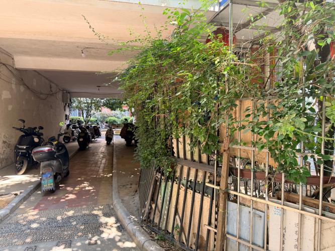 小区业主违规扩建占用公共绿地实景图